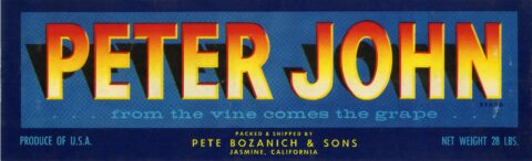 Peter John